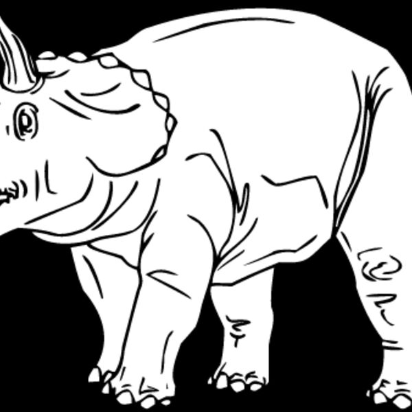 Triceratops1 Thumbnail