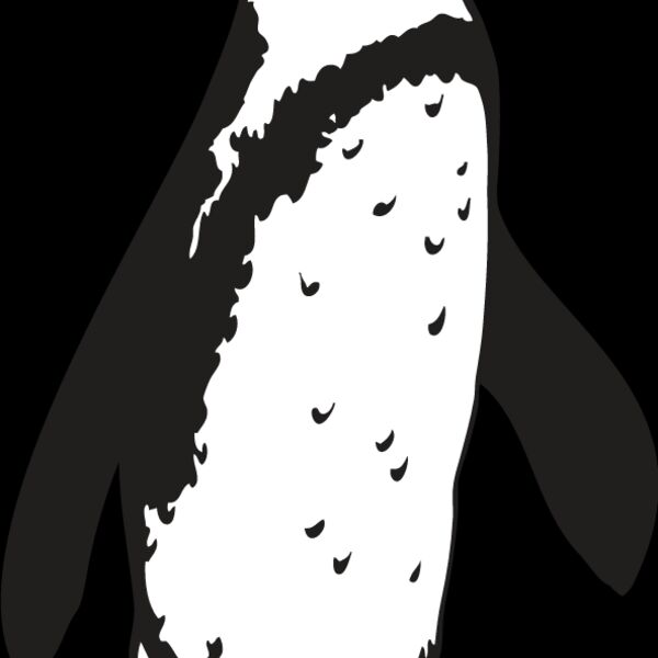 Penguin2 Thumbnail
