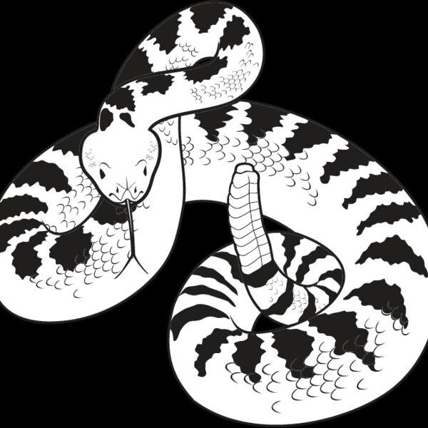 Rattlesnake Thumbnail
