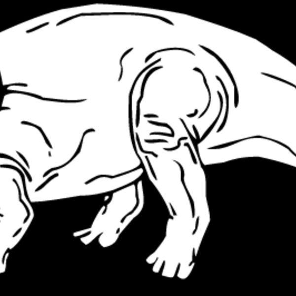 Protoceratops Thumbnail