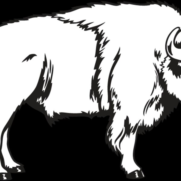 Bison Thumbnail