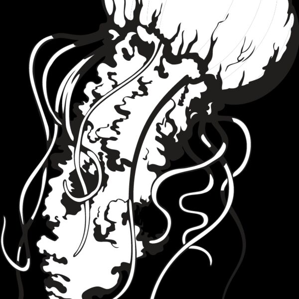 Jellyfish1 Thumbnail