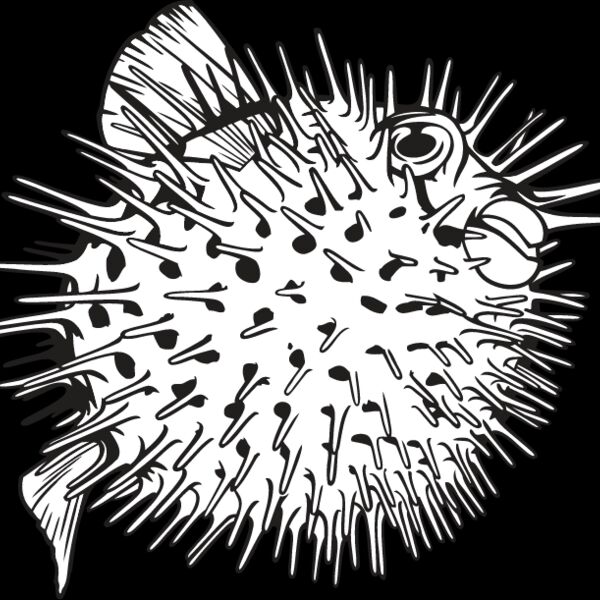 Pufferfish Thumbnail