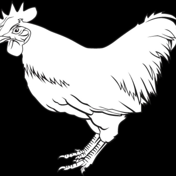 Chicken2 Thumbnail