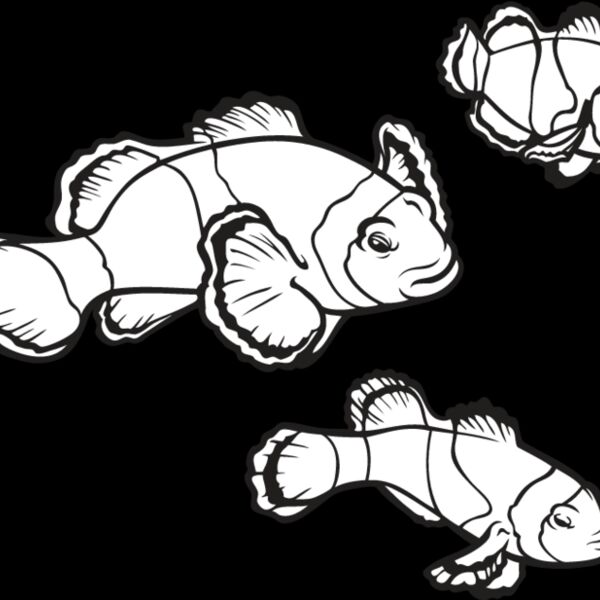 Clownfish Thumbnail