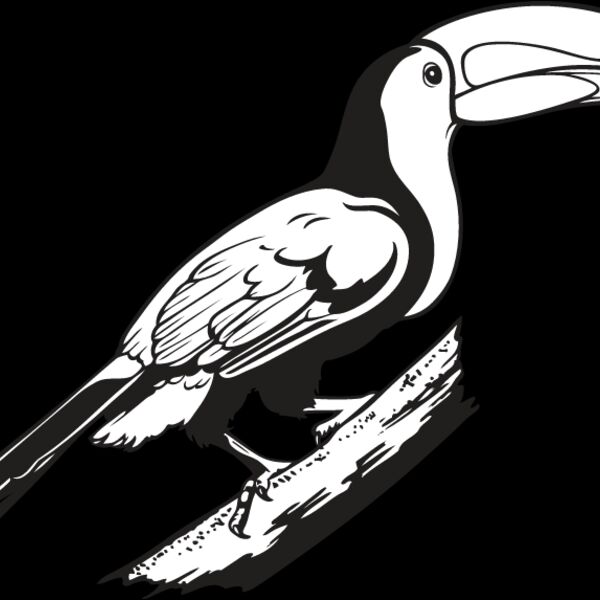 Toucan2 Thumbnail