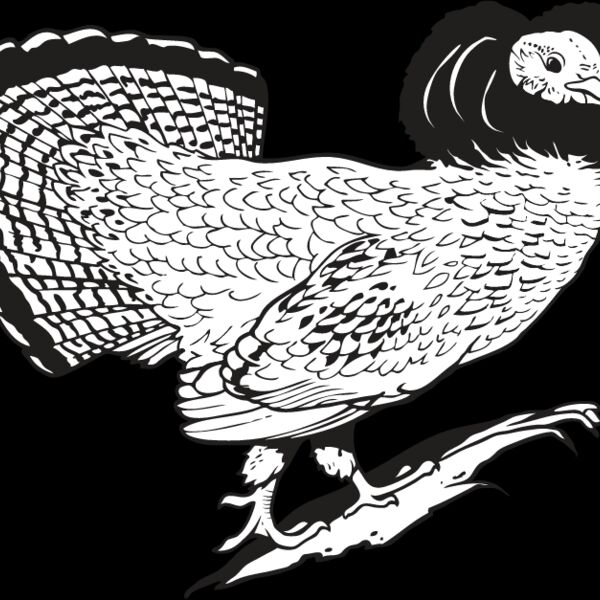 Grouse Thumbnail