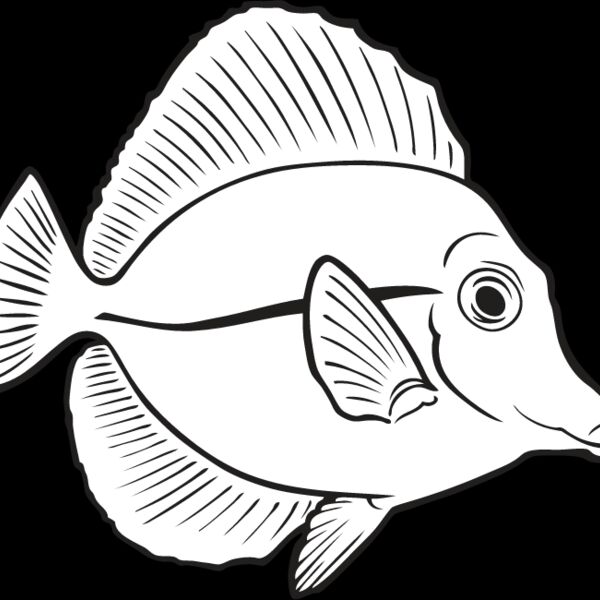 Tang Fish Thumbnail