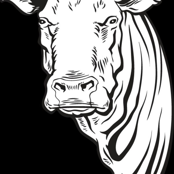 Cow2 Thumbnail