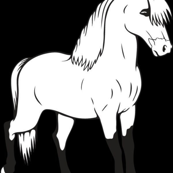 Miniature Horse2 Thumbnail