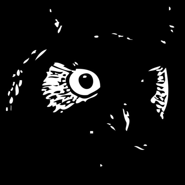 Owl3 Thumbnail