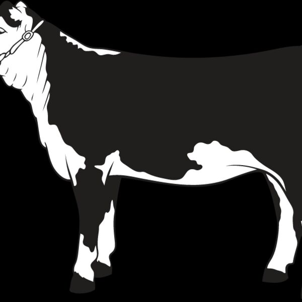 Cow5 Thumbnail