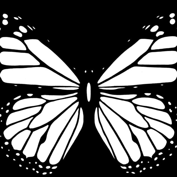 Butterfly2 Thumbnail