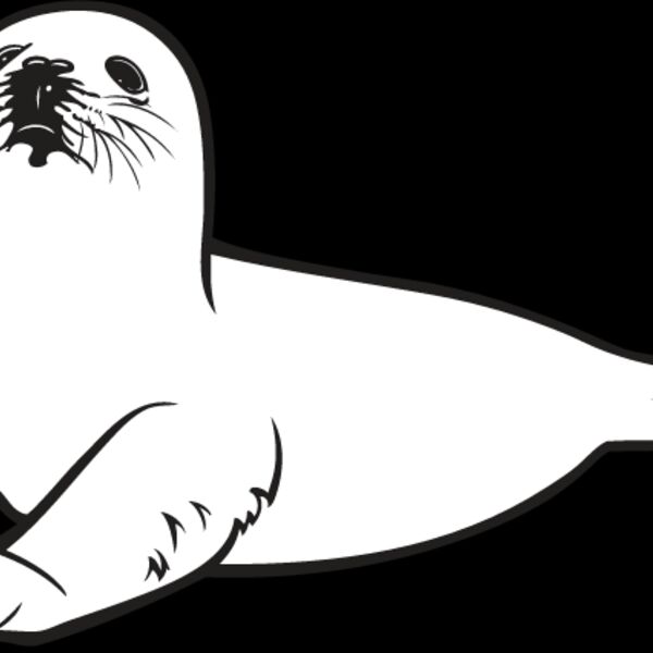 Baby Seal1 Thumbnail