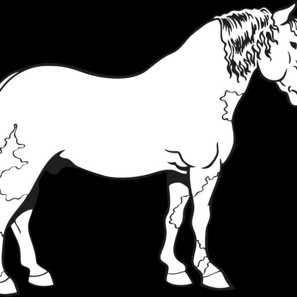 Horse15 Thumbnail