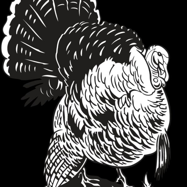 Wild Turkey9 Thumbnail