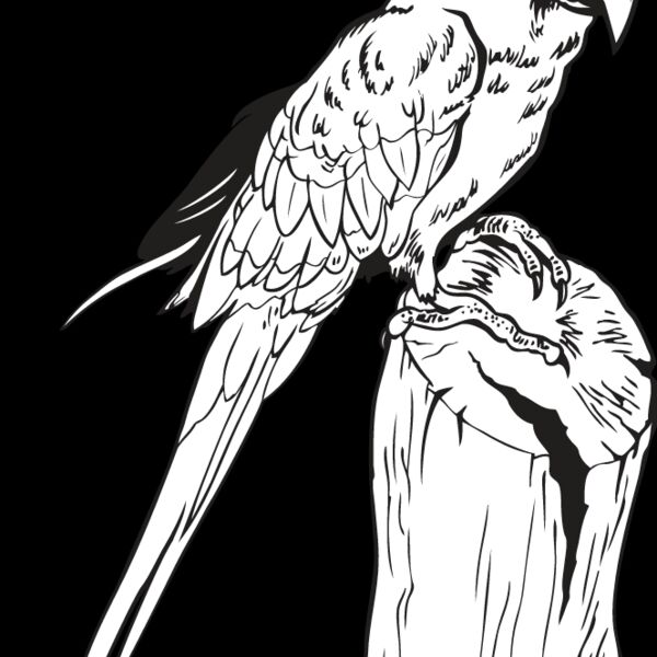 Macaw Thumbnail