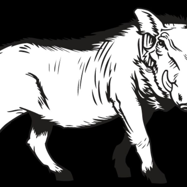 Warthog Thumbnail