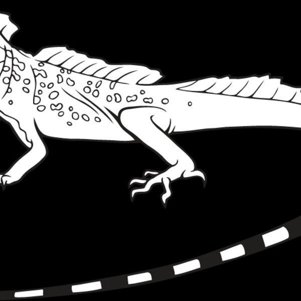 Lizard1 Thumbnail