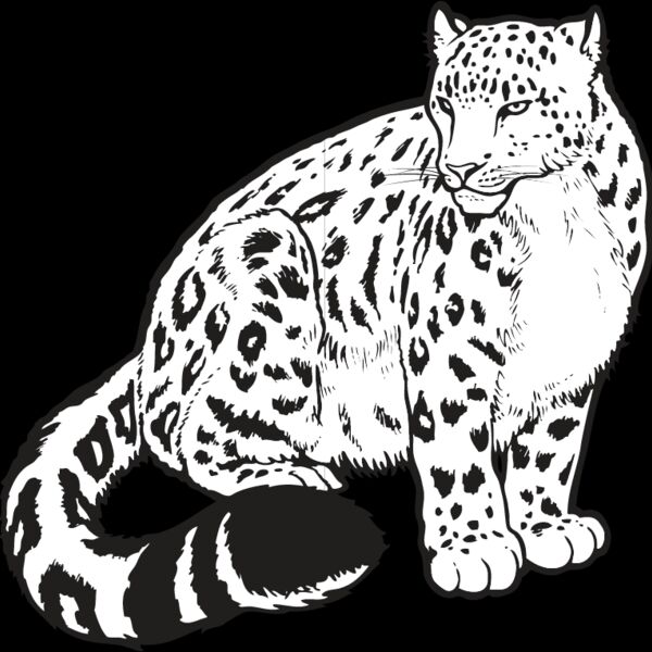 Snow Leopard Thumbnail