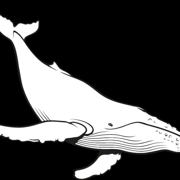 Humpback Whale Thumbnail