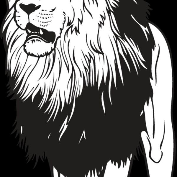 Lion1 Thumbnail