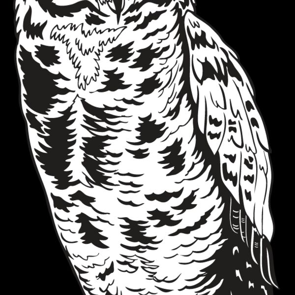 Owl1 Thumbnail