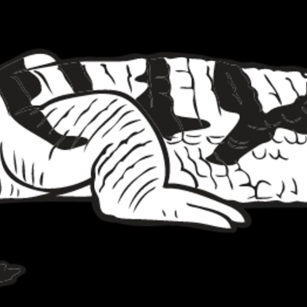 Crocodile1 Thumbnail