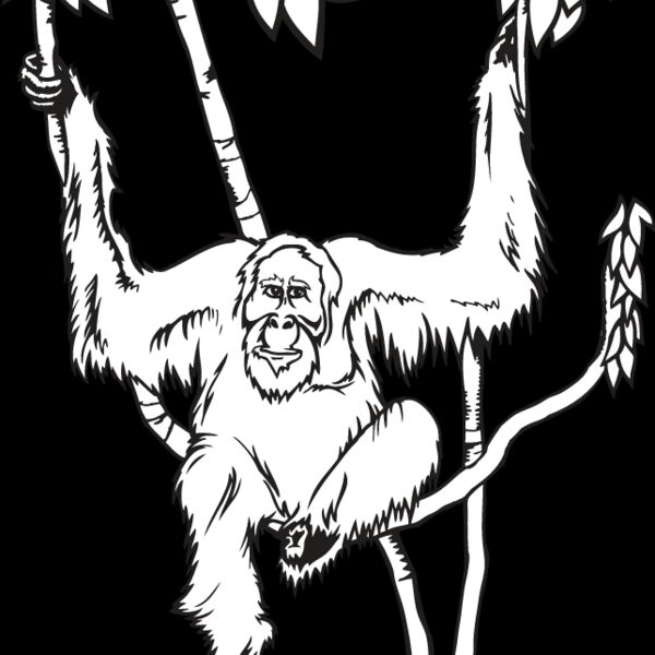 Orangutan Thumbnail