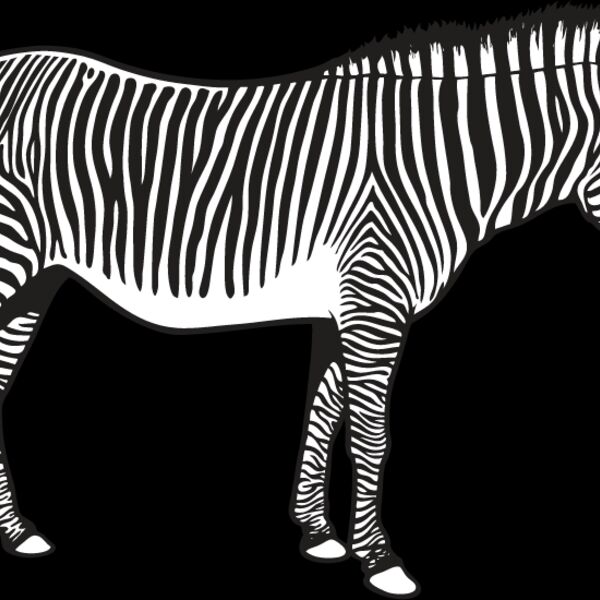 Zebra1 Thumbnail