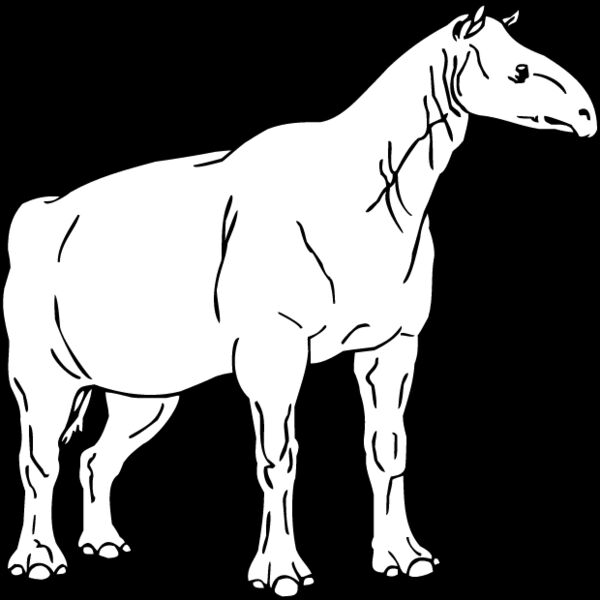 Indricotheriinae Thumbnail