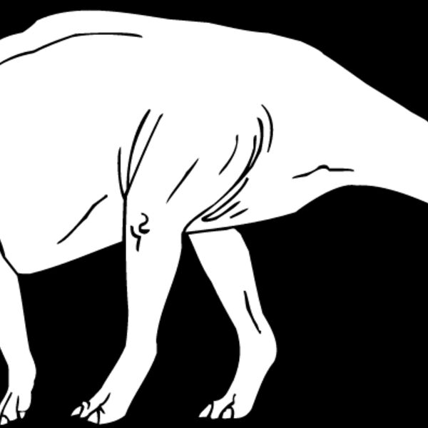 Parasaurus2 Thumbnail