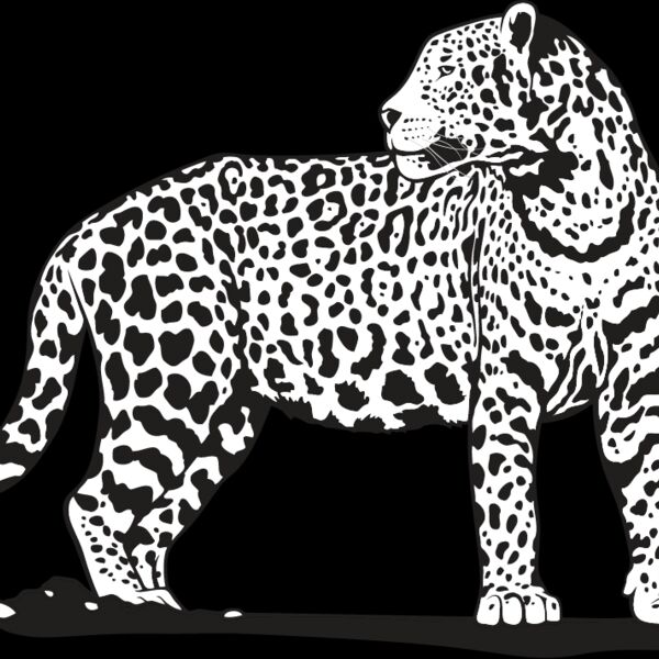 Jaguar1 Thumbnail