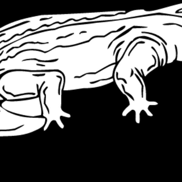 Diplocaulus Thumbnail