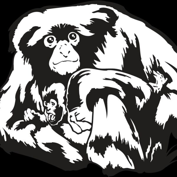 Monkey4 Thumbnail