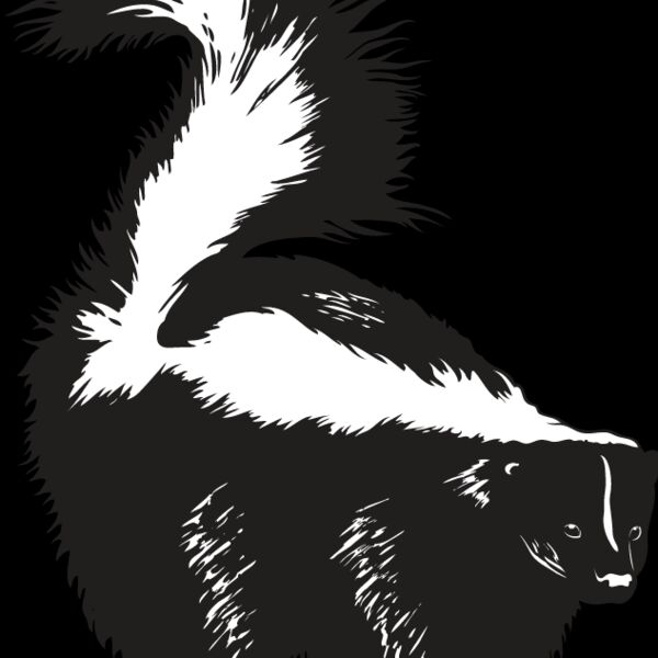 Skunk1 Thumbnail