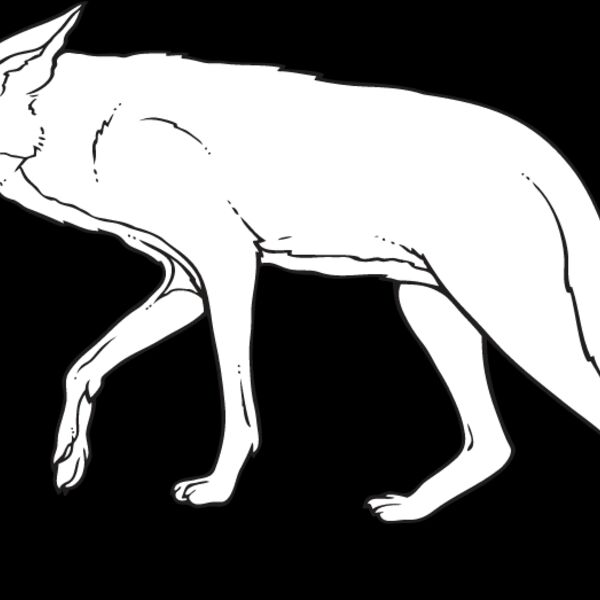 Coyote1 Thumbnail