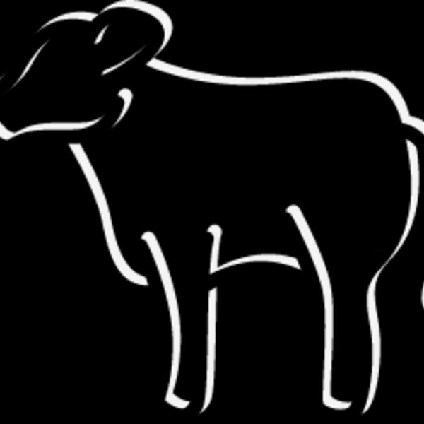 Cow15 Thumbnail