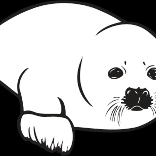 Baby Seal2 Thumbnail