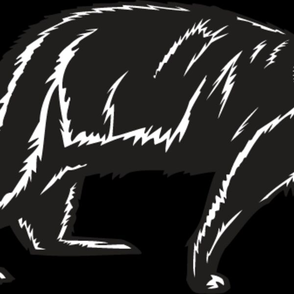 Sea Otter Thumbnail
