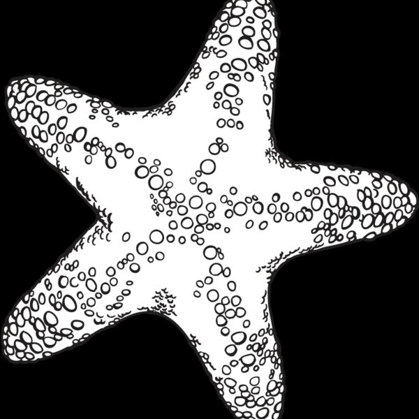 Starfish2 Thumbnail