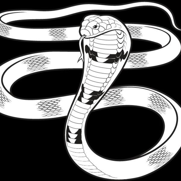 Cobra Snake Thumbnail