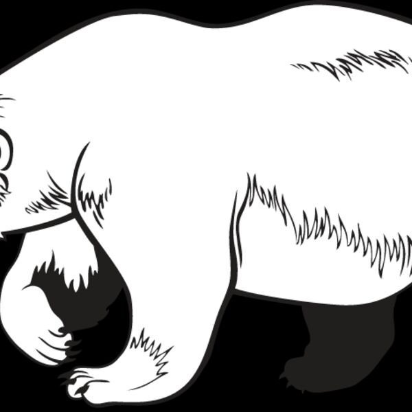 Polar Bear Thumbnail