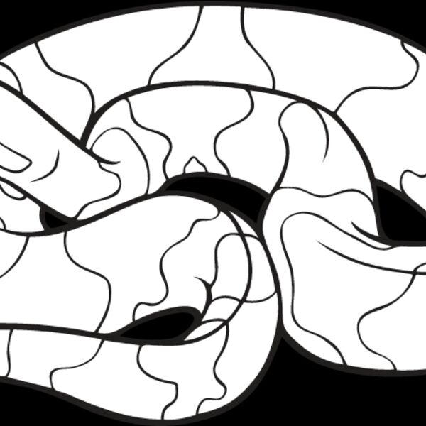Copperhead Snake Thumbnail
