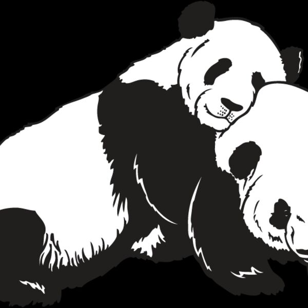 Panda Bear2 Thumbnail