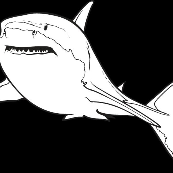 Great White Shark1 Thumbnail
