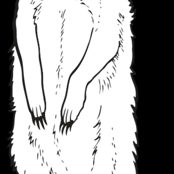 Meerkat Thumbnail