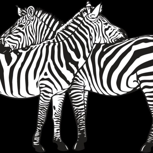 Zebra2 Thumbnail