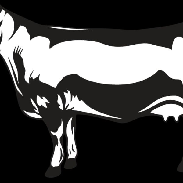 Cow1 Thumbnail