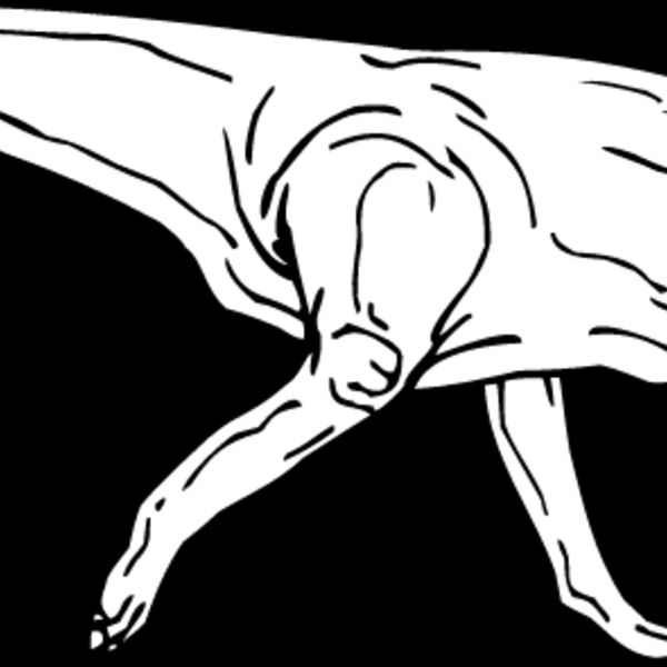 Lambeosaurus Thumbnail